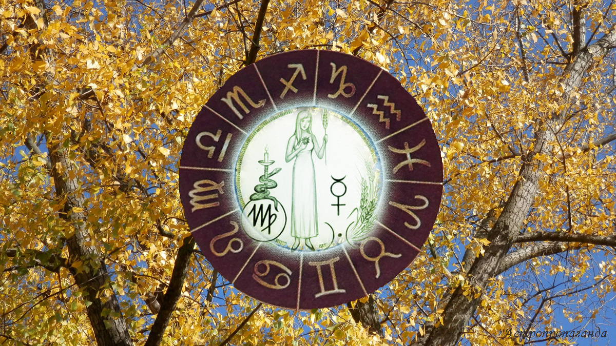 Гороскоп для Девы с 6 октября по 2 ноября 2025.