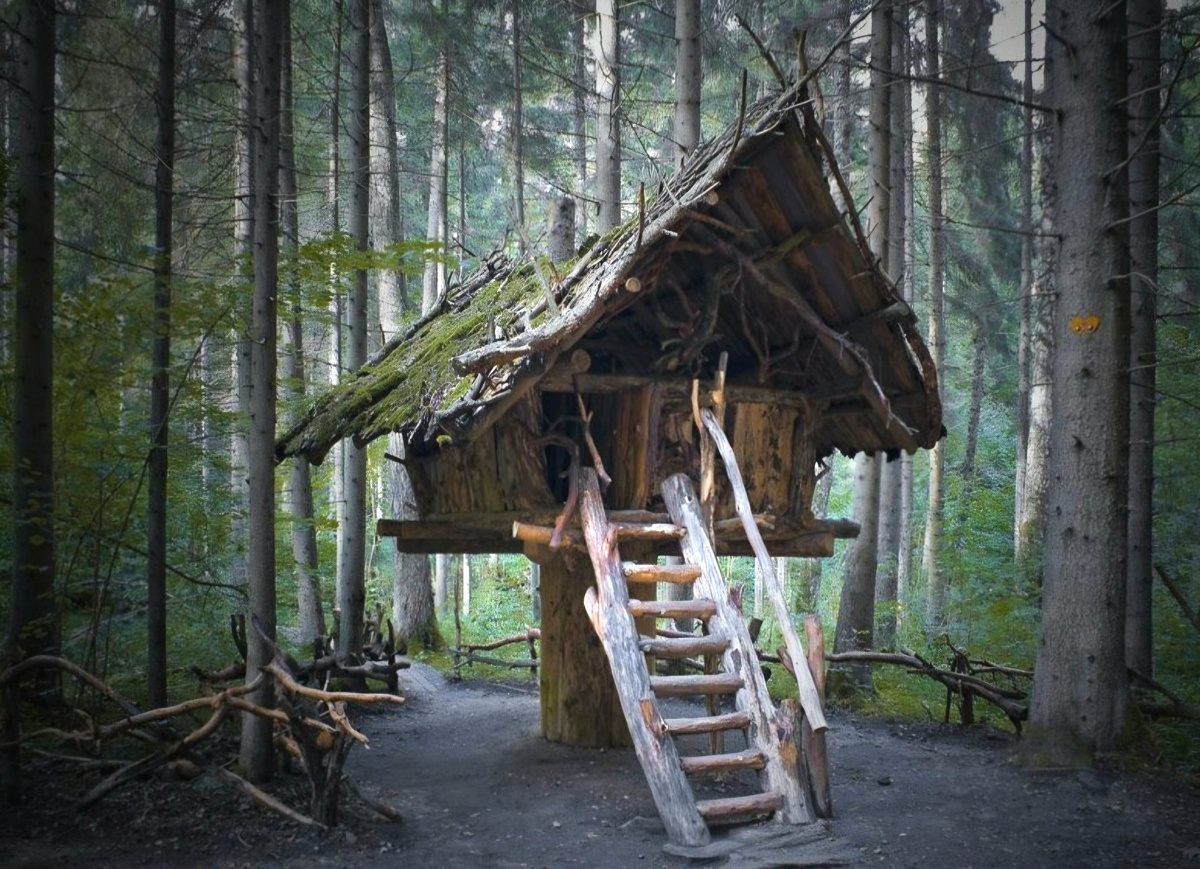 Избушка из просторов интернета. Пока нет и такой!🤦