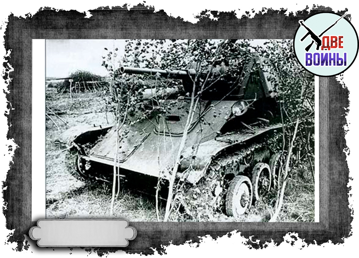 В засаде. Фото в открытом доступе.