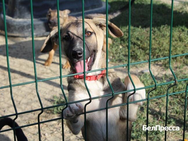 Фото: Анна Емельянова