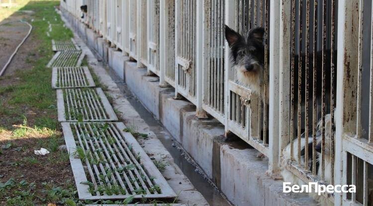 Фото: Анна Емельянова