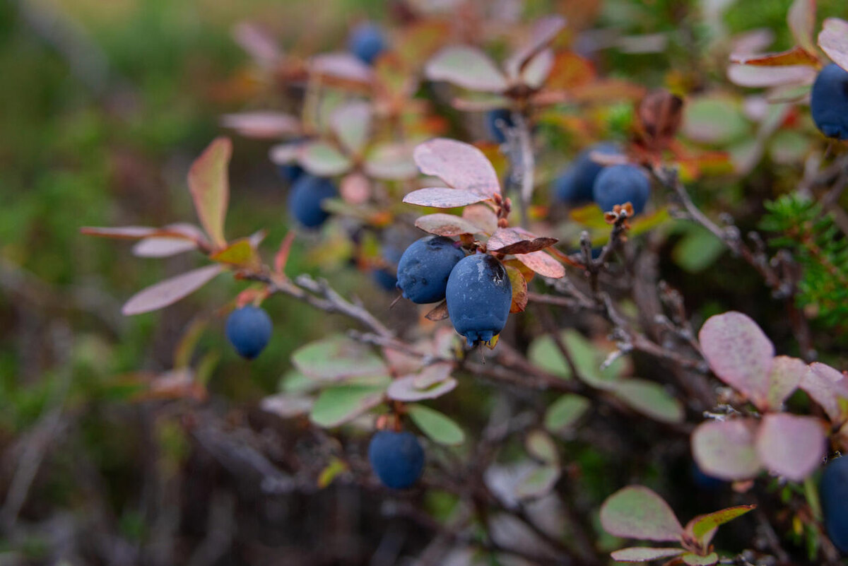     123RF/legion-media.ru