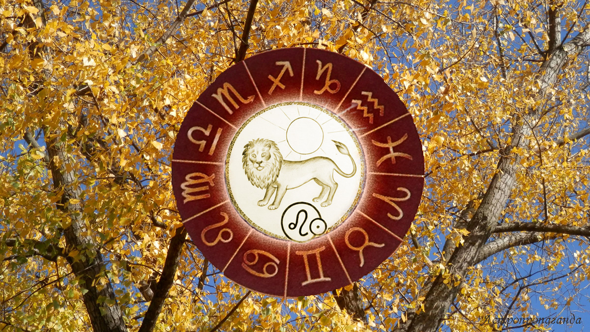 Гороскоп для Льва с 6 октября по 2 ноября 2025. 