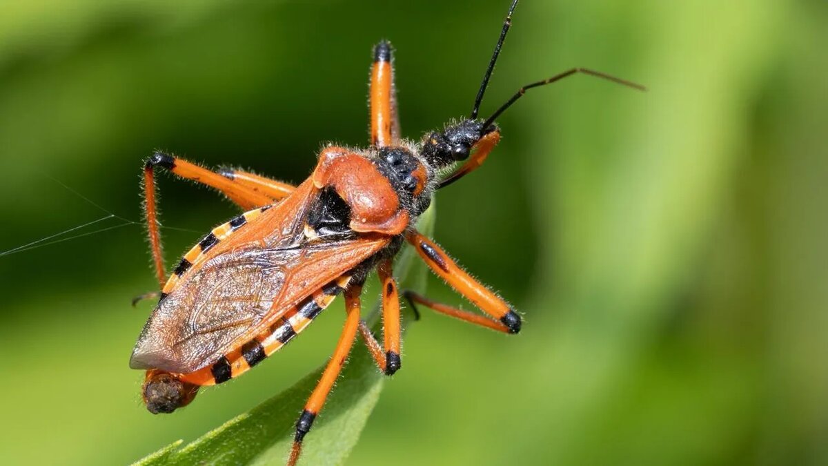 Фото: Wolfram Steinberg/dpa/www.globallookpress.com