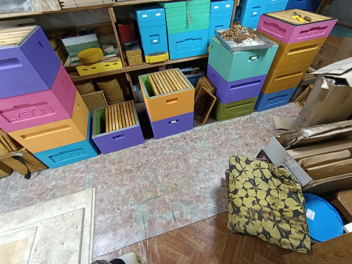 Чистка и сортировка рамок