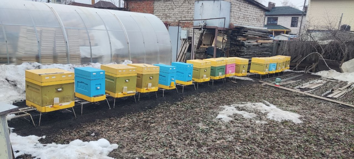 Пасека весной, в огороде