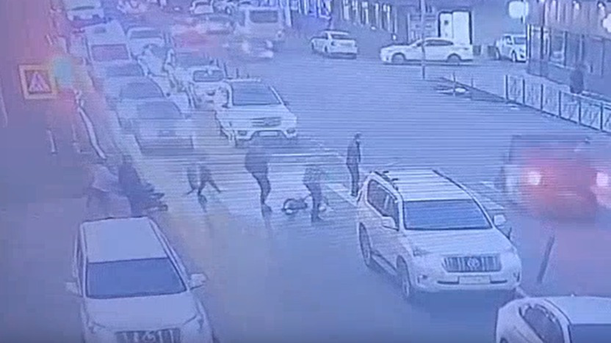    Фото: прокуратура Московской области