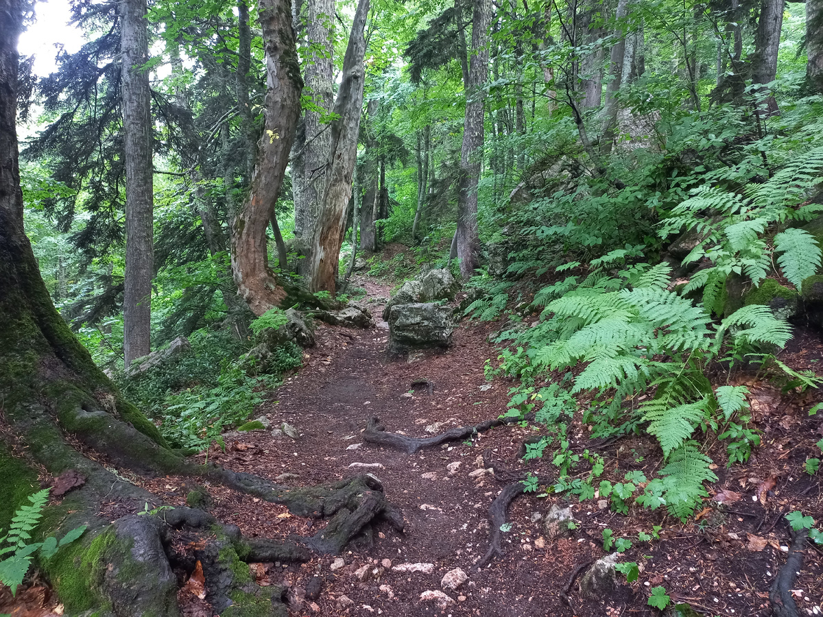 По дороге на малый ледник (фото автора)