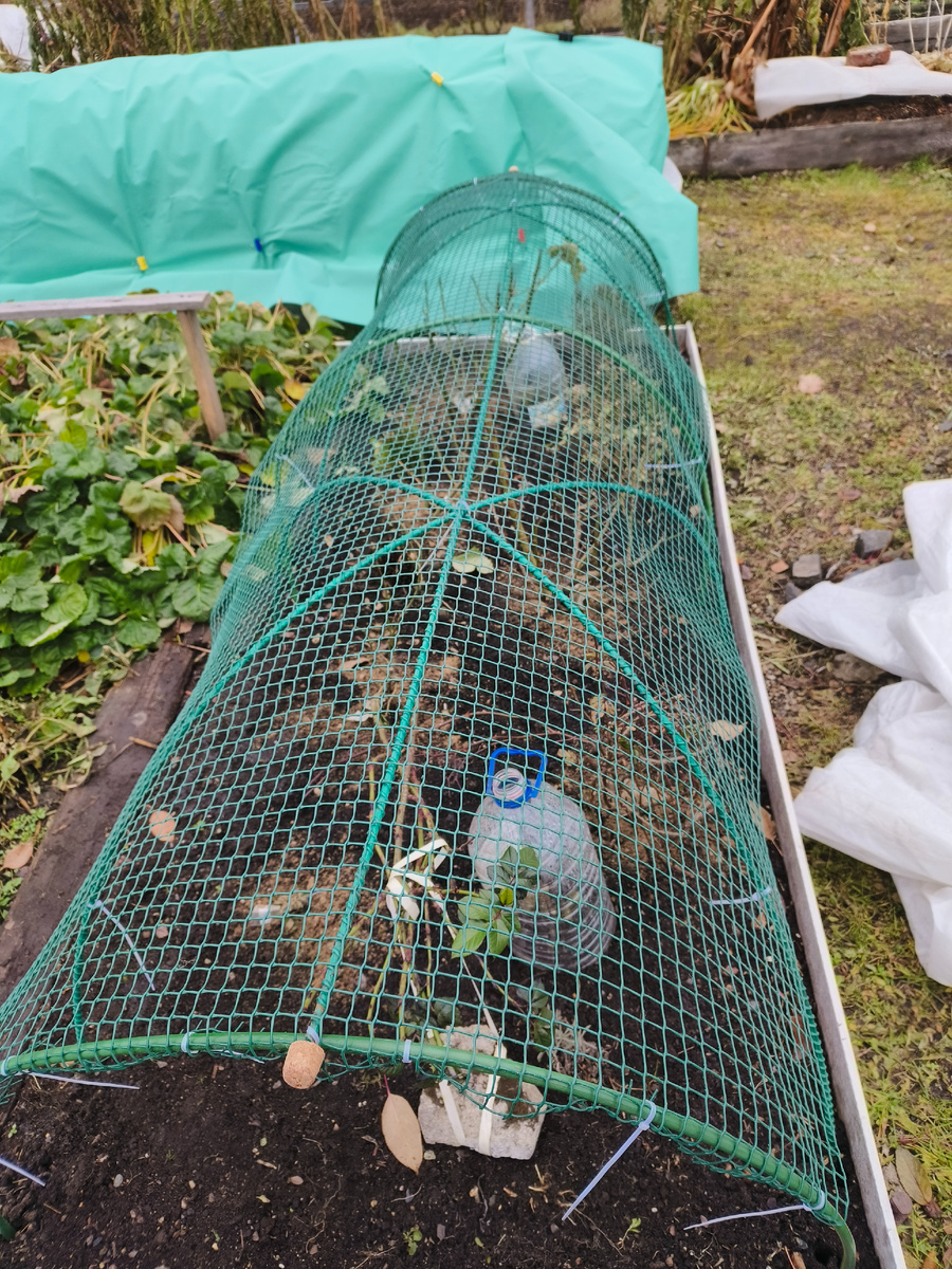 Конец октября 2024год