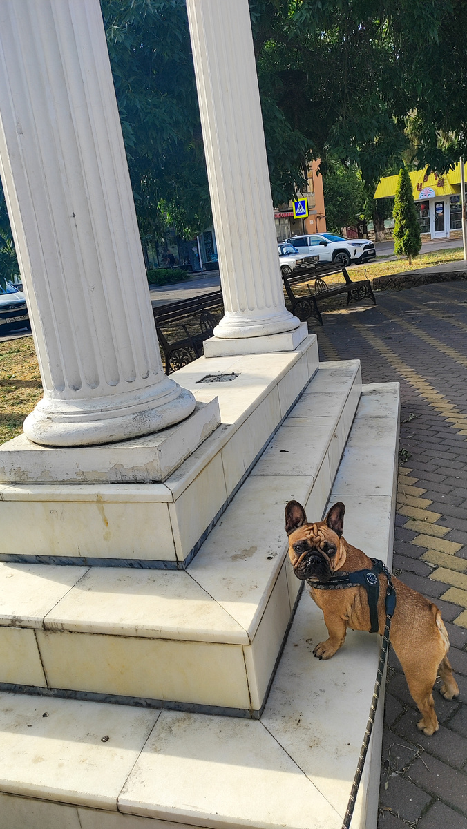 Иногда в выходные удаётся вырваться погулять в парк 