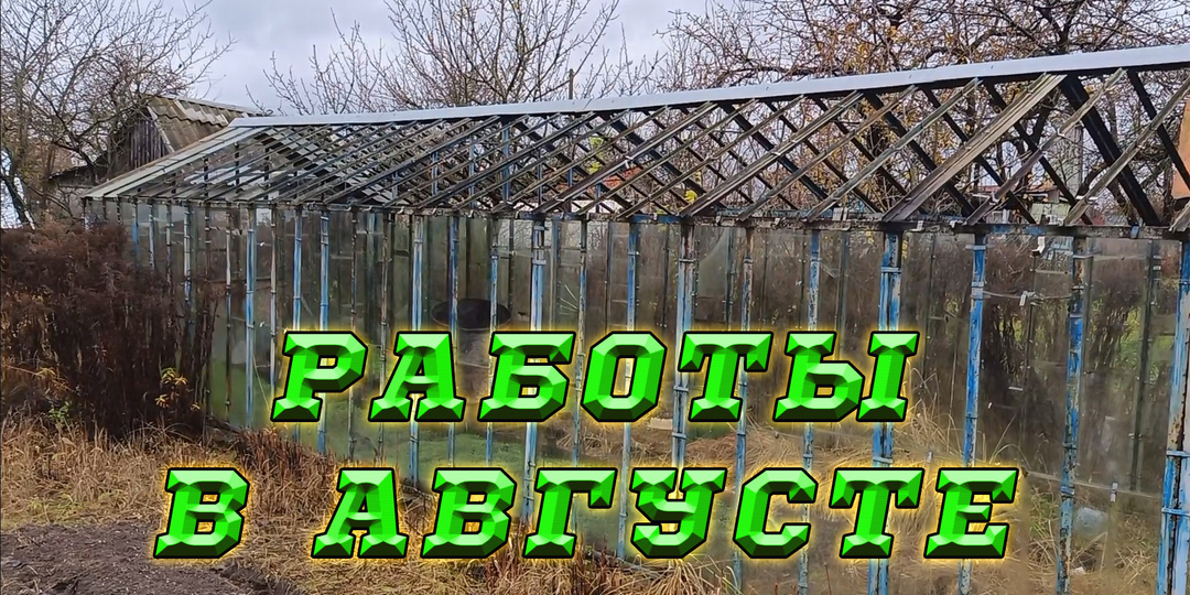 Работы в саду и огороде в августе.
