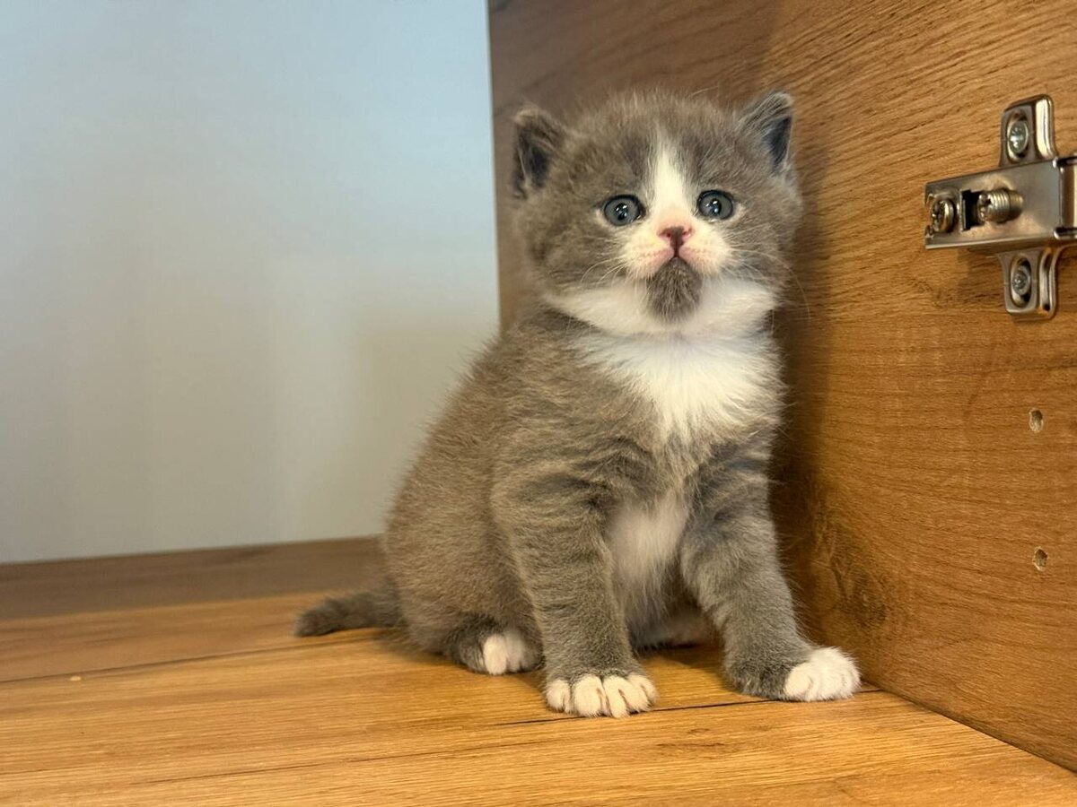 Деловой сын-маркиз. Фото из архива автора