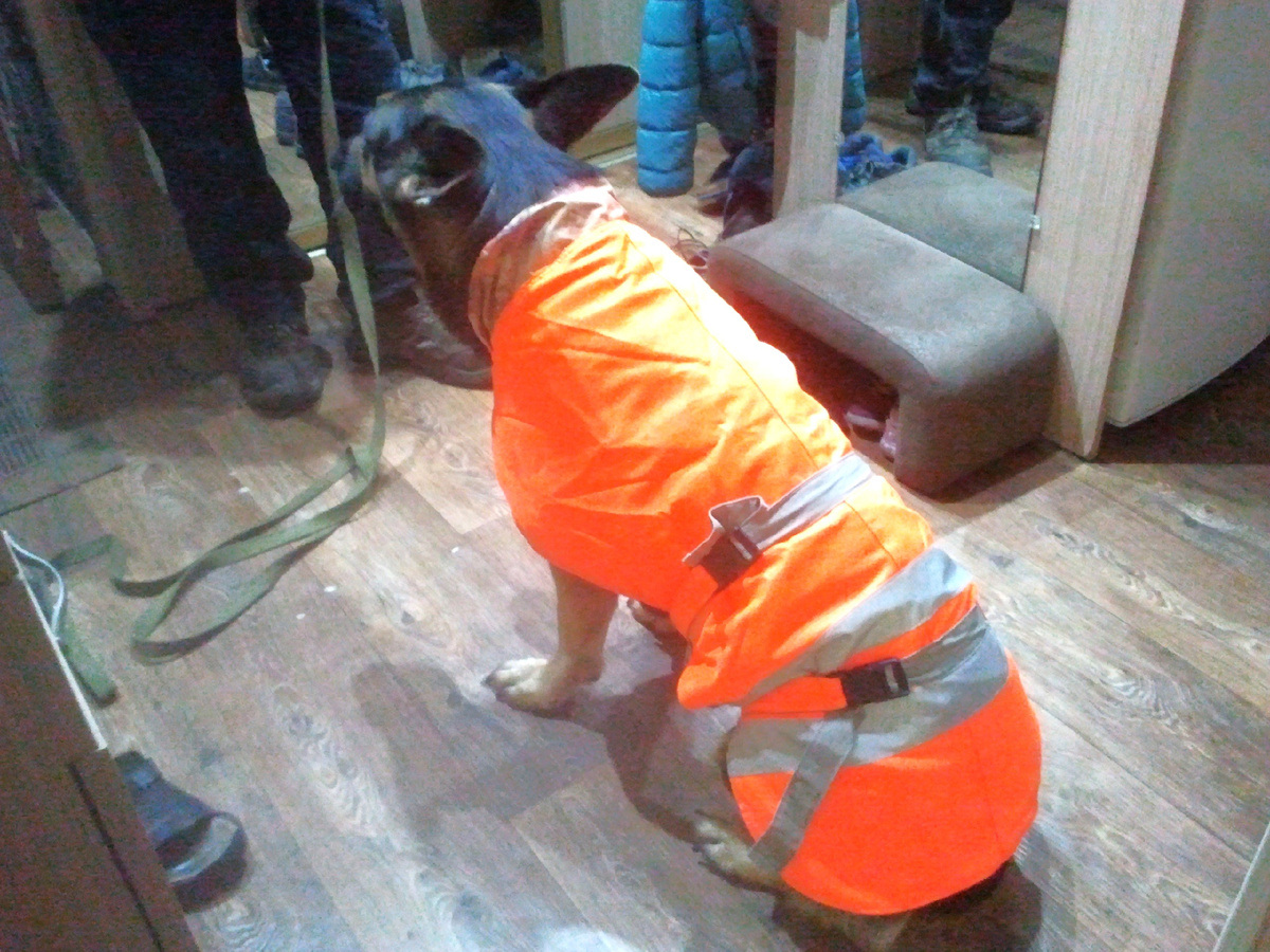 Фото автора