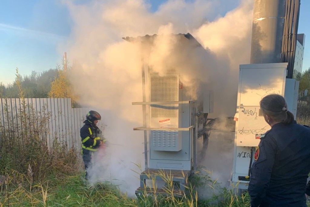    Фото © Telegram / Петербургская полиция