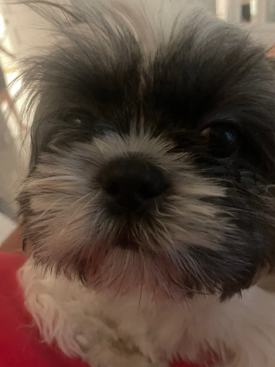 Все было хорошо.