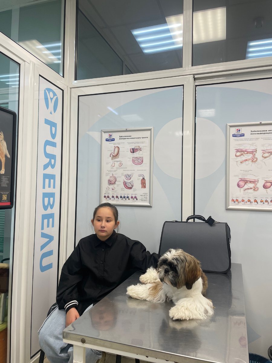 Плохо, когда болеет друг, а когда он не может совами объяснить что именно и как болит- вдвойне плохо!