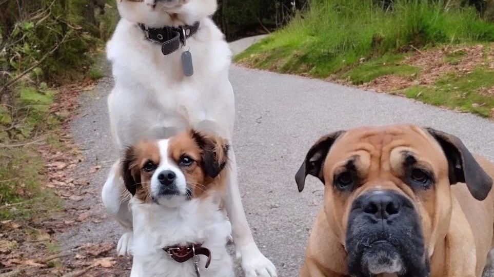 Давайте знакомиться!