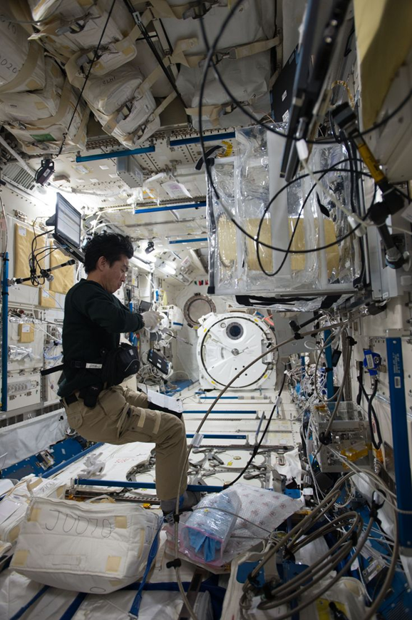 Японский астронавт в ЭМ Kibo. Фото: spacenews.com