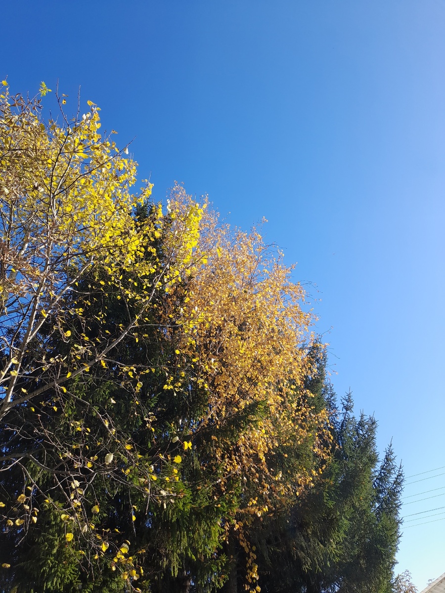 Последние тёплые денёчки!