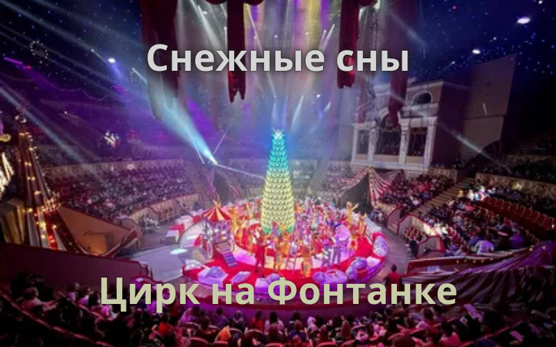 Новогоднее представление в цирке на Фонтанке 