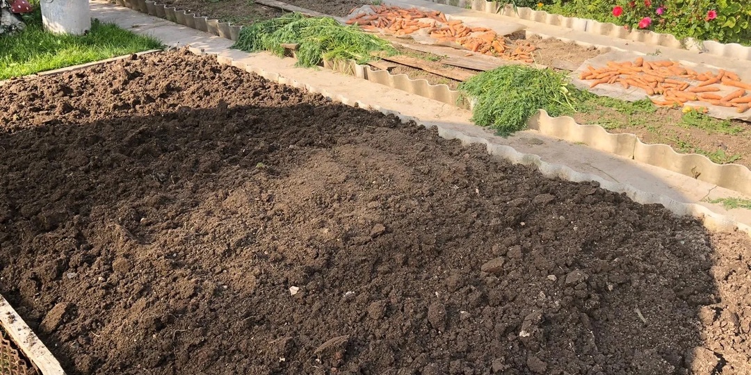 Сделай это осенью на огороде и земля станет плодородной, как хлеб. Лучше навоза и всех удобрений