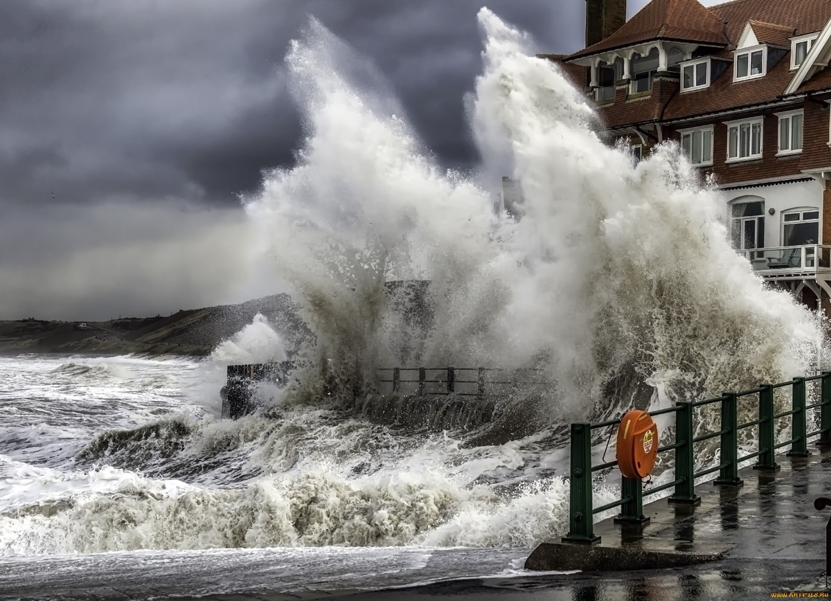 Фото из открытых ресурсов интернета