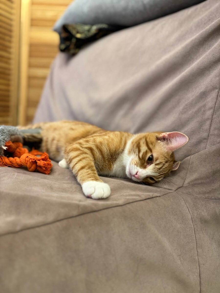 Ой. Щас жаловаться на меня будут!