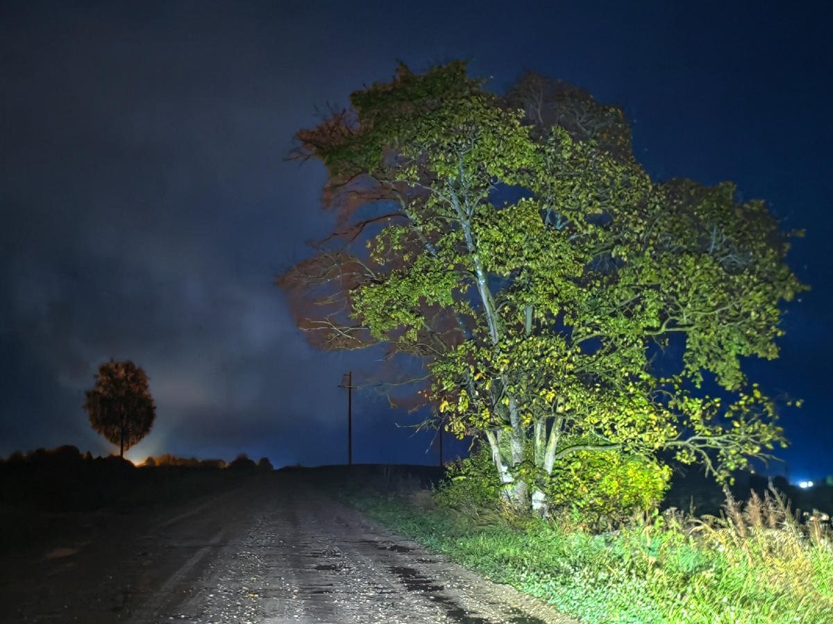 По дороге домой 