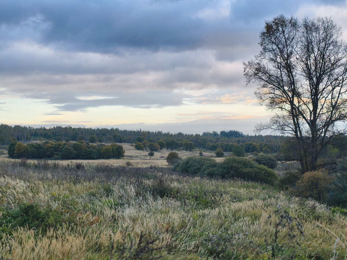 На покатушке 