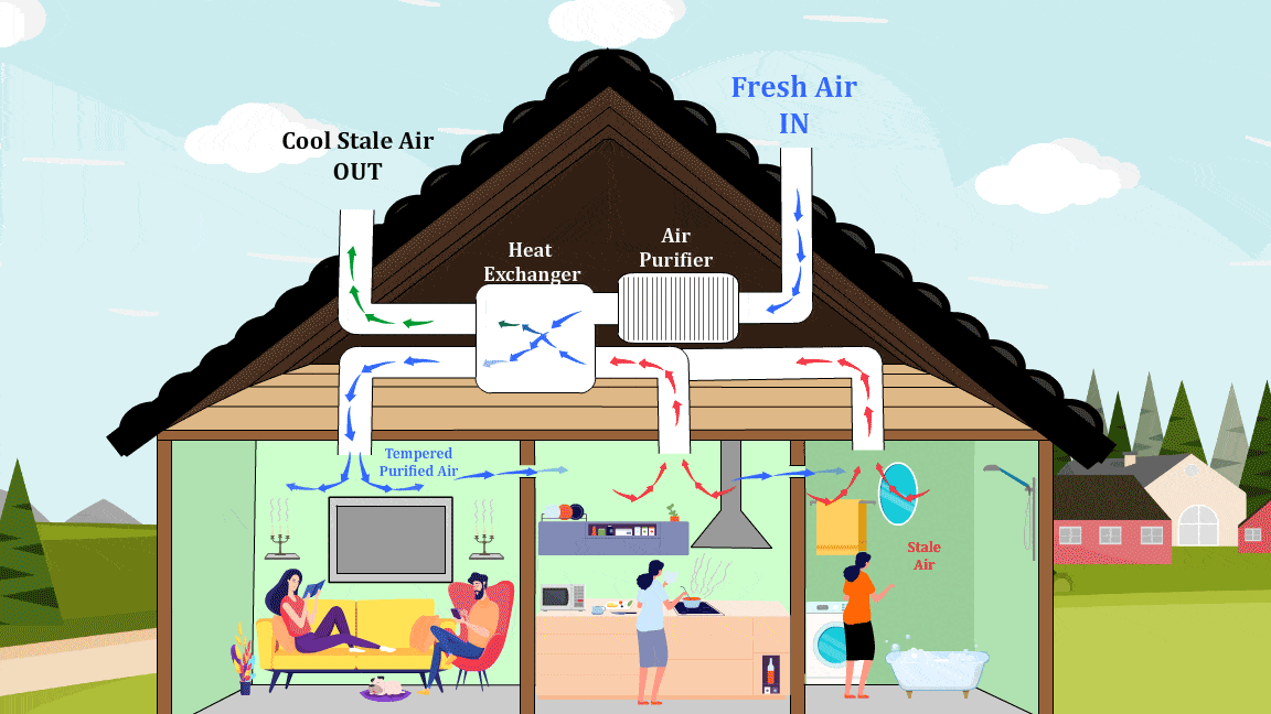 Очень похоже на работу кровеносной систему, где ВЕНозная система отвечает за вывод воВНЕ продуктов метаболизма