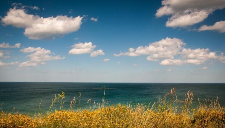     Фото: по лицензии CC0 Pxhere.com