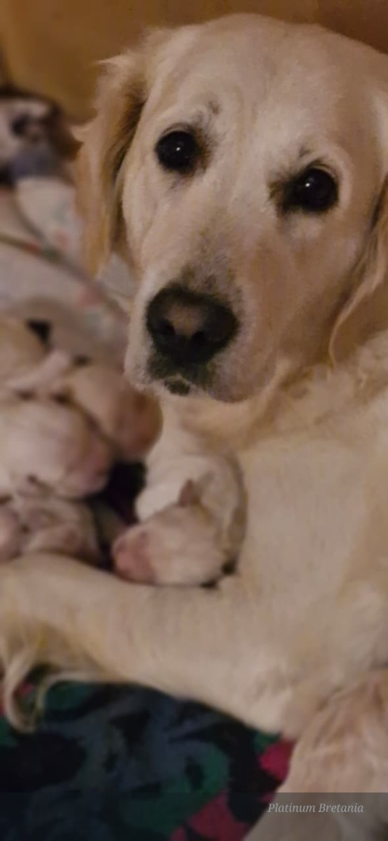 Стефания с детками 