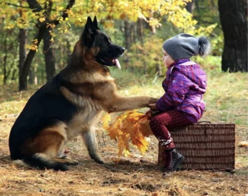 Для обложки из открытых источников интернета.