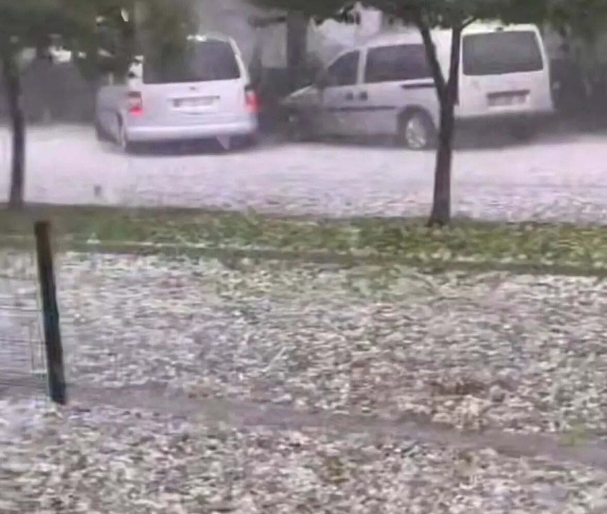    Фото: скриншот видео из соцсетей