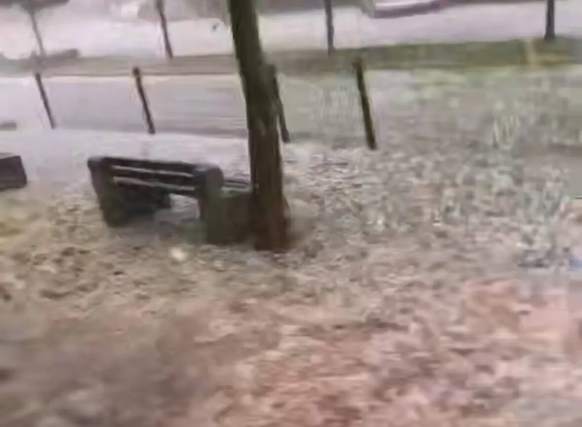    Фото: скриншот видео из соцсетей