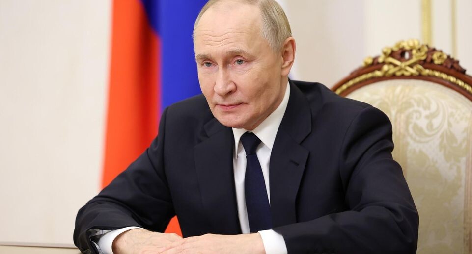 Предатели или прагматики? Почему немецкие депутаты празднуют день рождения Путина?