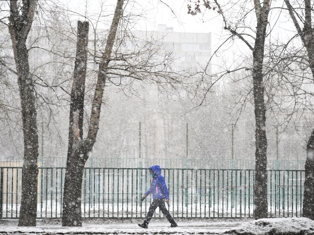    Снег в Москве© РИА Новости / Владимир Астапкович