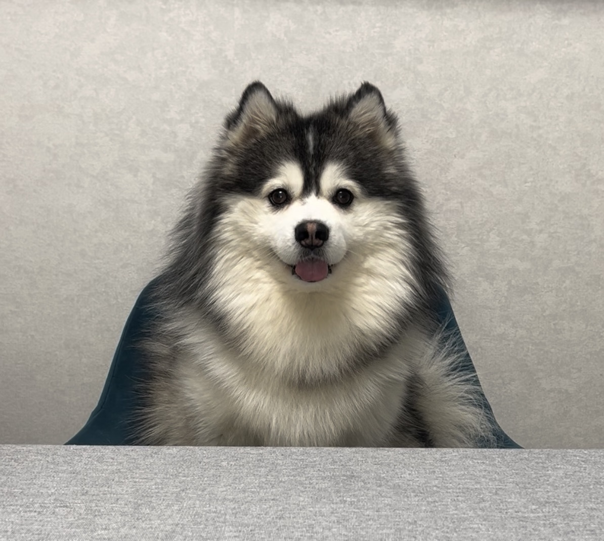 Камера, мотор!