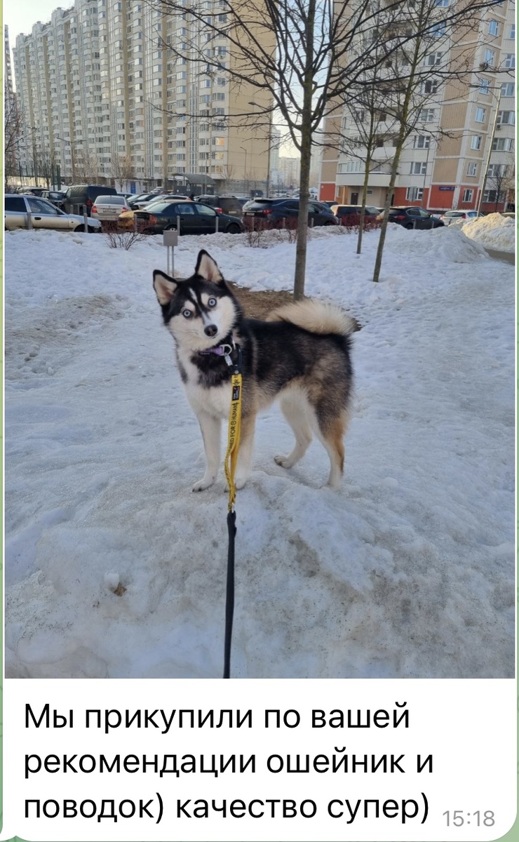 Отзыв подписчика от нашей рекламы 