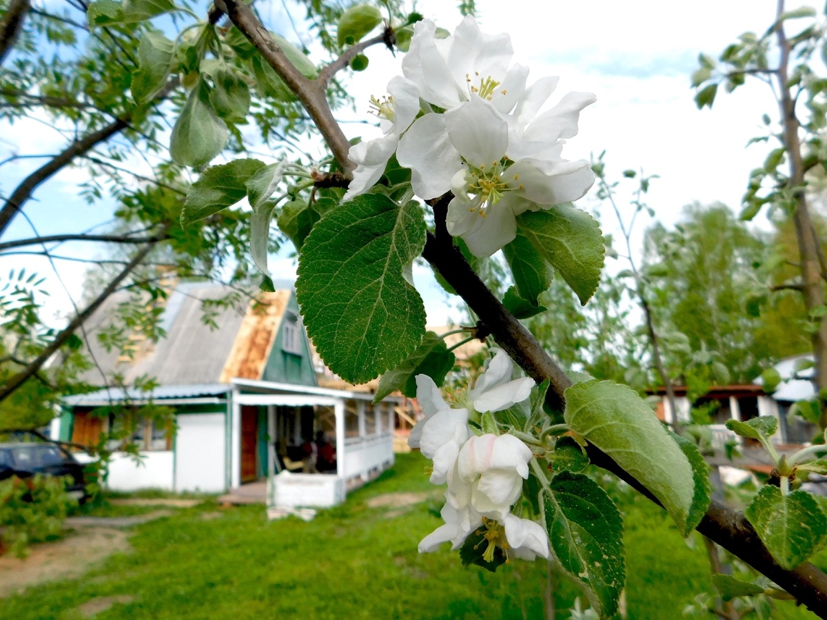    10 вещей в доме, которые не замечают хозяева, но отлично видят гости