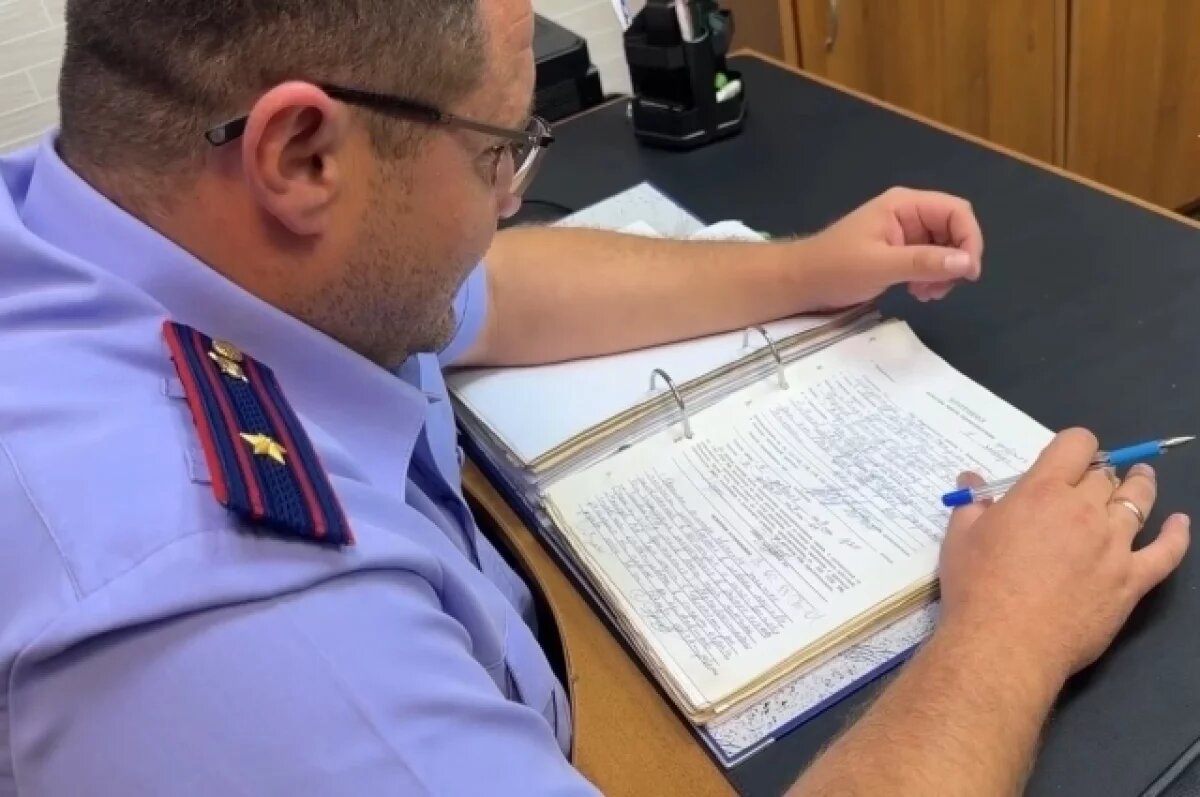    Во Владивостоке 17-летний подросток обвиняется в грабеже и угоне автомобиля