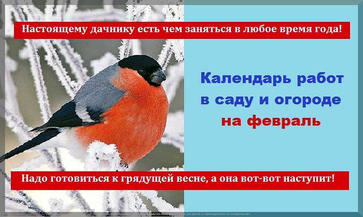https://vk.com/photo-159774511_457275312