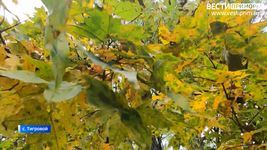    Источник фото: