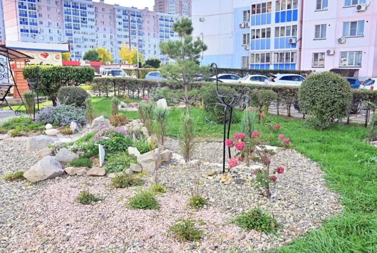    Японский сад и «Аллея любви» появились во дворах Хабаровска в 2025 году