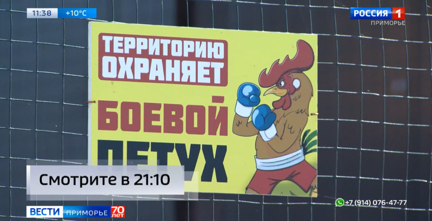    Источник фото: