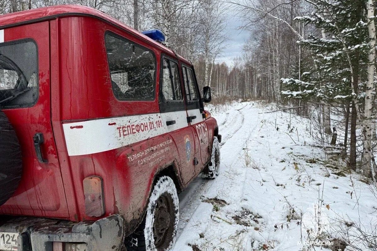    Поиск семьи Усольцевых.