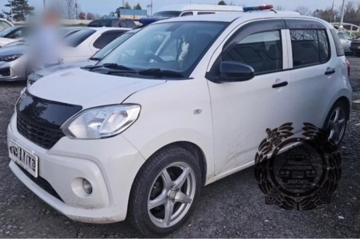    За сутки на камчатских дорогах пострадали два пешехода, один из них ребенок