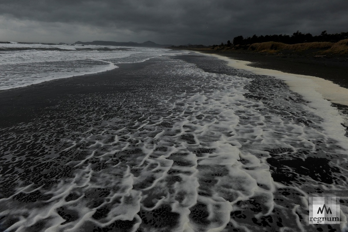    Шторм на побережье Тихого океана / Источник: Андрей Шапран © ИА REGNUM