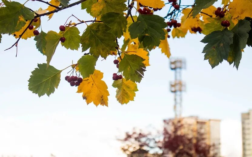    Главные новости Ижевска на утро 9 октября: строгий режим за комментарий и закрытие сезона аттрационов