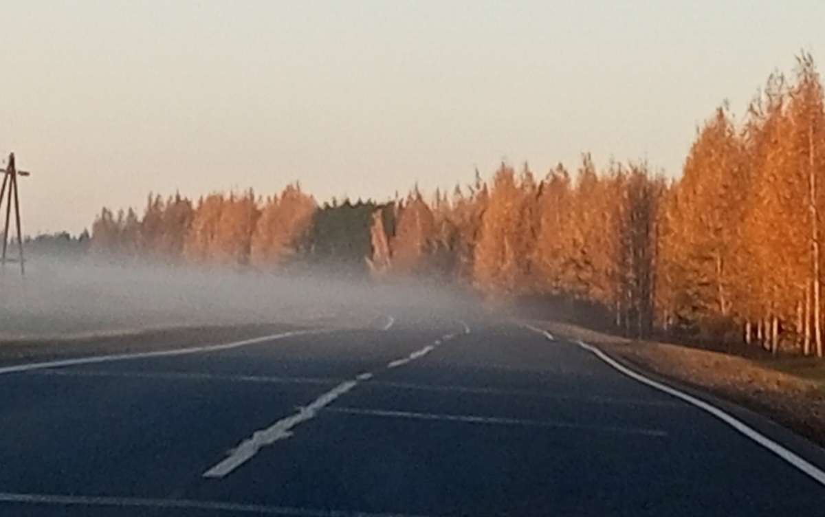 Осенний туман.